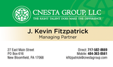 Cnesta Group, LLC